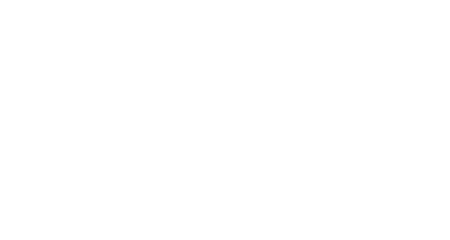 eva luise und horst köhler Stiftung Logo